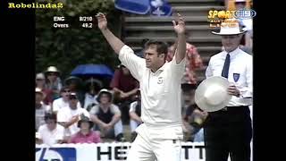 Two bouncing ball wicket