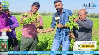 કાલાસોના માગાવા માટે નીચેના નંબર ઉપર કોન્ટેક્ટ કરો.મો.9265999648/9909486875