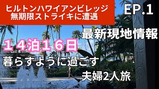 【最新ハワイ】半年ぶり❣️14泊16日夫婦旅のスタート😀ヒルトンはストライキ真っ最中😅EP.1