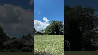 This autistic kids short game 🤯 #golf