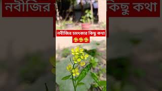 নবীজির চমৎকার কিছু কথা🥰🥰🥰 #নবীজির #short