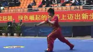 2010年全国武术套路锦标赛（传统）W01 003 女子南拳 王艳毅