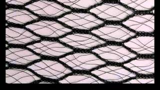 Garden Anti Hail Netting.mp4