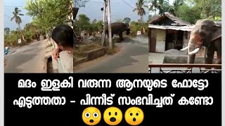 മദം ഇളകിയ ആനയുടെ മുൻപിൽ ഫോൺ കൊണ്ട് നിന്നാൽ ഇങ്ങനെ ഇരിക്കും - ഇതിലും വലുത് എന്തോ വരാനിരുന്നതാ