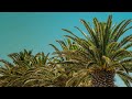 Very Popular & Sad Humming Background Nasheed