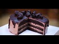 New and improved Tegral Choco Sponge by Puratos India