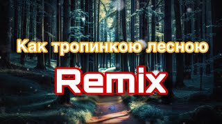 Как тропинкою лесною (No 0014) Remix