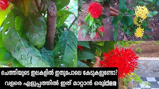 How to make pappaya leaf pesticide at home/ചെടികളിലും പച്ചക്കറികളിലും വരുന്ന കീടങ്ങളെ നശിപ്പിക്കാം.