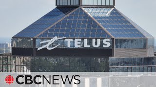 Telus joins Tim Hortons, Scotiabank in cutting sponsorship of Hockey Canada