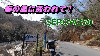 SEROW250で春のプチツーリング！三春滝桜は？