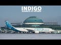 INDIGO Eyeing A330neo or 787 ORDER