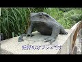 和歌山県田辺市の名所「ヒキ岩」を紹介いたします。