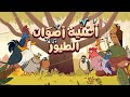 أنشودة أصوات الطيور 🐦🎶 | تعرّف على أسماء وأصوات الطيور بطريقة ممتعة! | أناشيد وأغاني أطفال