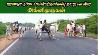 புதுகோட்டை மாவட்டம் , மணமேல்குடியில் மாபெரும் மாட்டுவண்டி பத்தாயம்