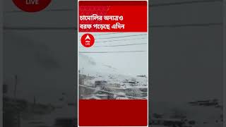 বরফের পুরু চাদরে ঢাকল বদ্রীনাথ ধাম