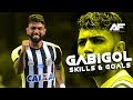 Gabriel Barbosa 2018 • Santos • Skills & Goals • HD