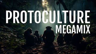 Protoculture Megamix (Full Version)