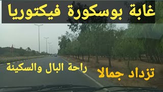 غابة بوسكورة فيكتوريا اولاد صالح. تزداد جمالية 💖💖💖💖💖💖