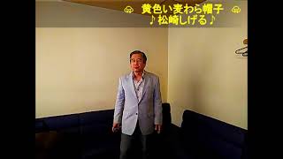 黄色い麦わら帽子歌詞付