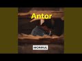 Antor