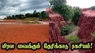 மிரள வைக்கும் தேரிக்காடு ரகசியம்! | Unbelievable Facts about Therikkadu