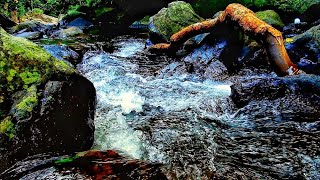 เสียงน้ำไหล สำหรับการพักผ่อน  เสียงธรรมชาติกล่อมนอน -Nature sounds, flowing water For relaxation