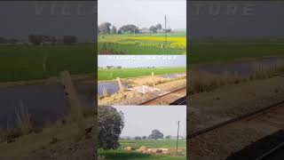 Apna gao (Bihar)#shorts #youtubeshorts #viralvideo #viralvideo #gaon #village #villagelife #trending