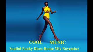 Soulful Funky Disco House Mix November