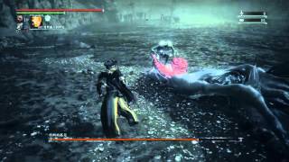 Bloodborne™ The Old Hunters Edition_20160315003554　科斯孤兒　第一階段　槍反練習