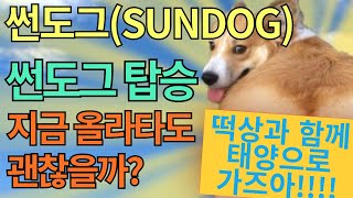 [썬도그 코인] 수익 다 보셨죠? 올라간다고 했잖아요~~~