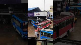 Kerala Private Bus #kurikkal #richu #limitedstop #manjeri 🔁 #kozhikode #vehicle_crazy #valayam_uyir