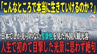 【海外の反応】「こんなところで本当に生きていけるのか？」日本でしか見られない雪景色を見た外国人観光客人生で初めて目撃した光景に思わず絶句【日本賞賛】