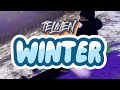 TELMEN - WINTER / lyrics video /