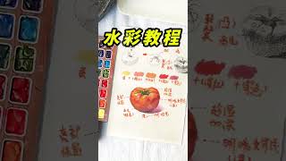 【水彩丨watercolor painting for beginners easy and simple】水彩新手零基礎入門水彩西紅柿的畫法#水彩