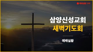 삼양신성교회 새벽기도회 [24.11.05] 예배실황