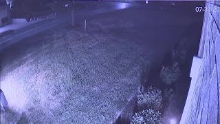 Police release thousands of text messages, jail calls from Mackenzie Shirilla case