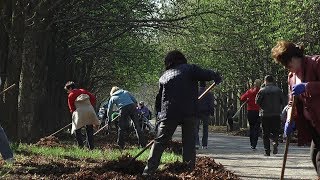 Лозівчани вийшли прибрати місто