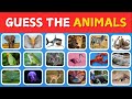 Guess 70 Animals in 5 Seconds | Guess the Animal Quiz