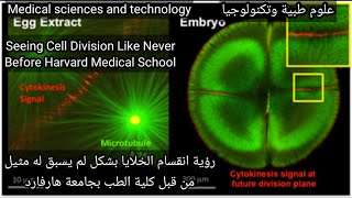 Seeing Cell Division Like Never Before Harvard Medical School انقسام الخلايا بشكل لم يسبق لها مثيل