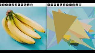 Genetic Algorithm Approximating an Image
