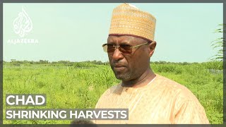 Chad: Climate change blamed for driving up food costs
