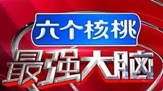 最强大脑 第三季 20160318期 中国vs日本 Game 1.3