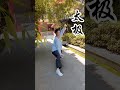 老祖宗的东西 一定要看明白。太极拳 路人视角 国风合伙人 一见爱上传统文化