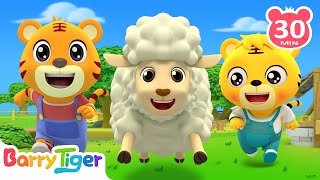 Little Tiger Had A Little Lamb | Joyful Animal Songs & Kids Songs - Educational Songs