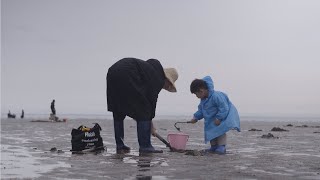 태안 몽산포해수욕장 갯벌체험