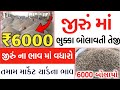 આજના જીરુંના ભાવ | 03-08-2024 | jeera na bhav | જીરું નો ભાવ | commodity trend