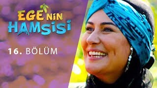 Ege'nin Hamsisi 16. Bölüm