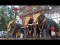 kavassery pooram chirakkal kalidasan കാവശ്ശേരി പൂരം