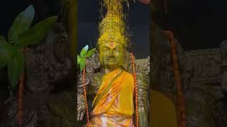 Tirumala Venkateswara Swamy Abhishekam