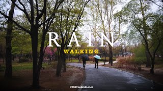 Raining Walking Spring day, Seoul Maeheon Citizen's Forest. Korea Nature Vlog. 4K Relax, Calm, Sleep